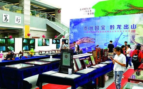 贵州师大科技园的“贵州龙”情怀
