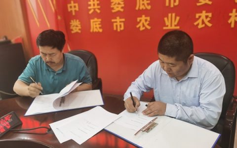 北京党外高级知识分子联谊会走进湖南娄底与茶“联姻”