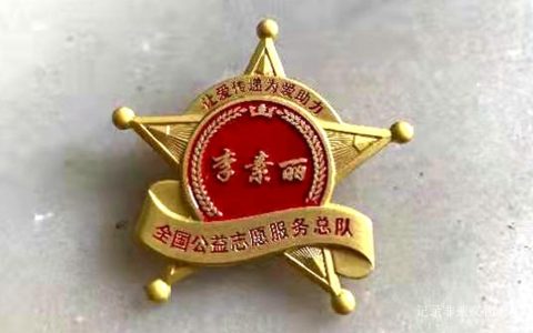“李素丽全国公益志愿服务总队”骨干招募计划暨圆桌交流活动圆满成功