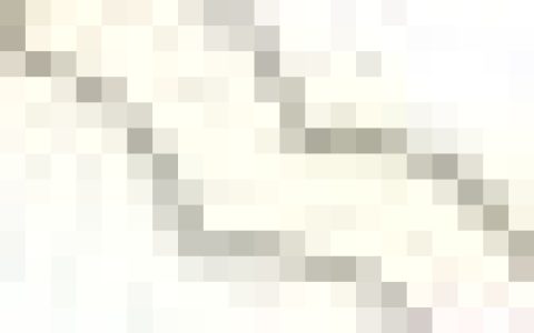 【会讯】本会协办“空中大课堂”2022年第8期“文明礼仪与美好生活”