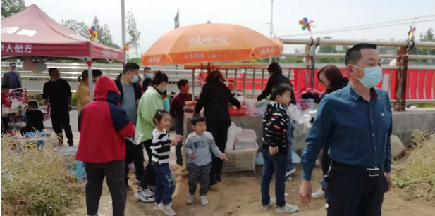 百亩丰硕桑葚园 民众采摘均称甜
