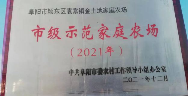 百亩丰硕桑葚园 民众采摘均称甜