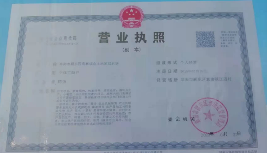 百亩丰硕桑葚园 民众采摘均称甜