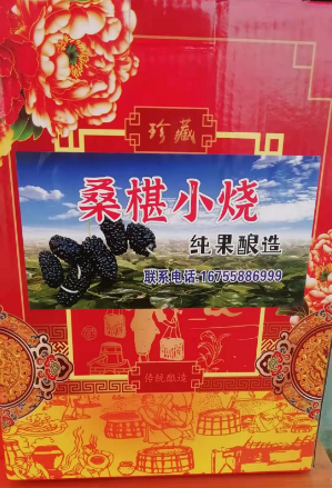 百亩丰硕桑葚园 民众采摘均称甜
