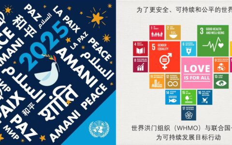 世界洪门组织2025年工作计划