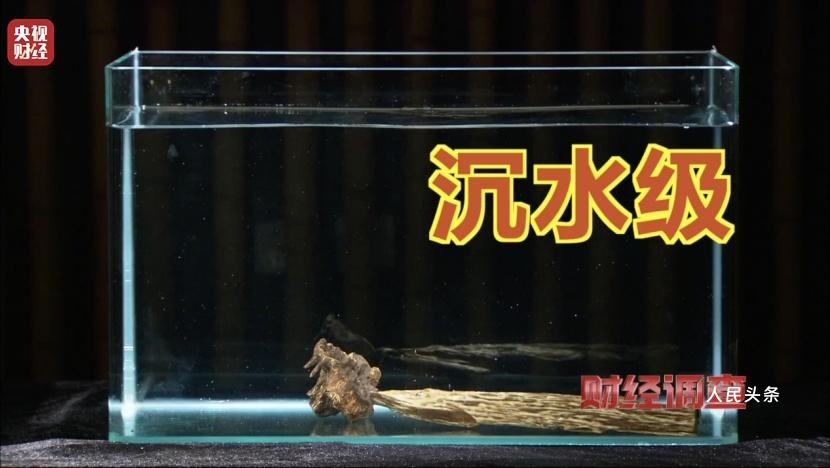 以次充好、直接造假！假沉香也能拿证书！总台《财经调查》曝光沉香市场乱象→