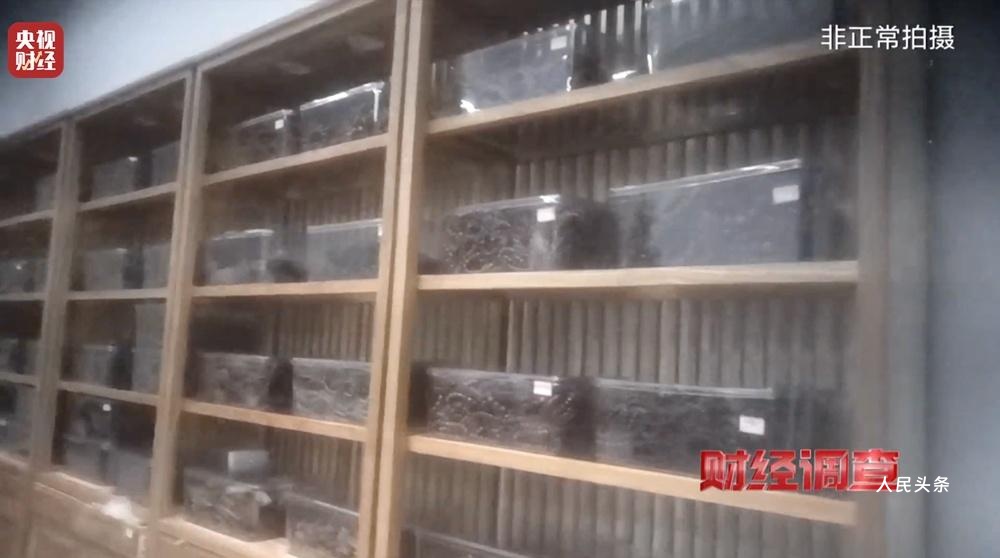 以次充好、直接造假！假沉香也能拿证书！总台《财经调查》曝光沉香市场乱象→